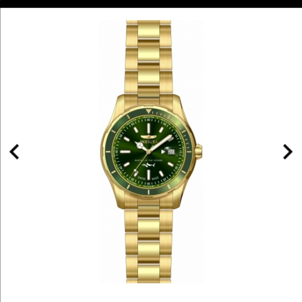 Men’s Pro Diver Watch